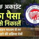 पीएफ का पैसा कैसे निकाले ? | ऑनलाइन तरीका | How to withdraw EPF online | Process in Hindi 2024