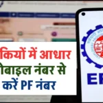 PF Number Kaise Pata Kare: बस चुटकियों में आधार और मोबाइल नंबर से पता करें PF नंबर