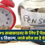 There are 5 pension options for NPS subscribers, which one is best for you