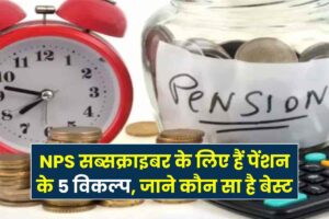 There are 5 pension options for NPS subscribers, which one is best for you