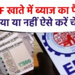 EPFO: EPF खाते में ब्याज का पैसा आया या नहीं ऑनलाइन और ऑफलाइन ऐसे करें चेक