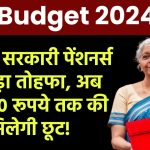 बजट में सरकारी पेंशनर्स को बड़ा तोहफा, अब 25,000 रूपये तक की मिलेगी छूट!