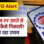 EPFO Alert: फ्रीज PF खाते से पैसे कैसे निकालें? ये रहा उपाय