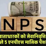 NPS खाताधारकों को सेवानिवृत्ति के बाद मिलने वाले 5 एनपीएस मासिक पेंशन विकल्प