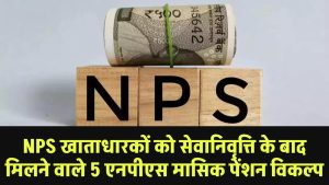 NPS खाताधारकों को सेवानिवृत्ति के बाद मिलने वाले 5 एनपीएस मासिक पेंशन विकल्प