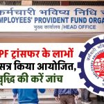 EPFO ने EPF ट्रांसफर के लाभों पर लाइव सत्र किया आयोजित, सदस्यता वृद्धि की करें जांच