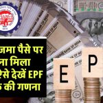 EPF Interest Rates: खाते में जमा पैसे पर कितना मिला ब्याज? ऐसे देखें EPF पासबुक की गणना