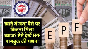 EPF Interest Rates: खाते में जमा पैसे पर कितना मिला ब्याज? ऐसे देखें EPF पासबुक की गणना