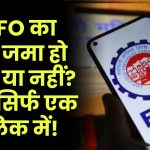 EPFO का पैसा जमा हो रहा है या नहीं? जानें सिर्फ एक क्लिक में!