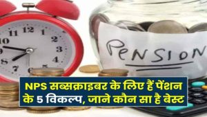 NPS पेंशन में ये 5 ऑप्शन बदल सकते हैं आपकी रिटायरमेंट की किस्मत – जानिए कौन सा है आपके लिए बेस्ट