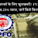 EPFO का बड़ा ऐलान! FY25 के लिए 8.25% ब्याज दर घोषित – जानें कितने करोड़ लोगों को होगा फायदा