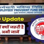 EPFO KYC Update: अगर ये गलती की तो रुक सकती है PF की पूरी रकम