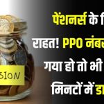 PPO नंबर गुम हो गया? सरकार ने जारी किया आसान तरीका – अब मिनटों में करें डाउनलोड