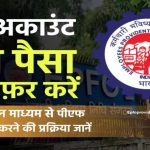 बस 5 मिनट में PF का पैसा अपने अकाउंट में ट्रांसफर करें – जानिए सबसे आसान तरीका