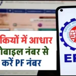 PF Number Kaise Pata Kare: बस चुटकियों में आधार और मोबाइल नंबर से पता करें PF नंबर