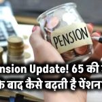 Pension Hike After 65: क्या 65 की उम्र के बाद बढ़ जाती है पेंशन? जानें पेंशन कैसे बढ़ती है