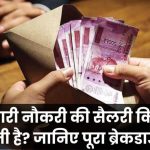 सरकारी नौकरी में मिलती है कितनी तगड़ी सैलरी? जानिए सच्चाई जिससे सब छुपाते हैं