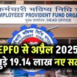 EPFO से अप्रैल 2025 में जुड़े 19.14 लाख नए सदस्य महिलाओं और युवाओं का बढ़ा योगदान