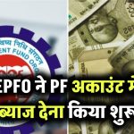 EPFO ने PF अकाउंट में ब्याज देना शुरू किया! जानें आपके खाते में कितने रुपए होंगे जमा!