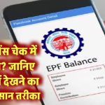 EPF बैलेंस चेक करने में आ रही है दिक्कत? यहां जानिए मिनटों में बैलेंस देखने का सबसे आसान तरीका