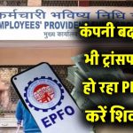 PF Transfer Issue: कंपनी बदलने पर भी क्यों नहीं ट्रांसफर हो रहा PF? यहां करें शिकायत
