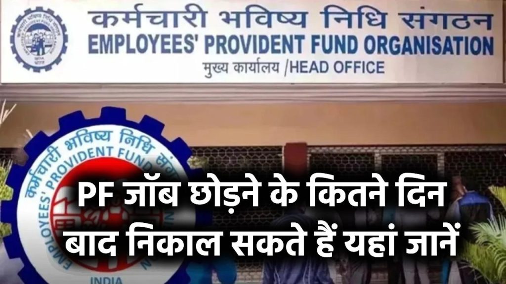 PF Withdrawal: जॉब छोड़ने के कितने दिन बाद निकाल सकते हैं PF? यहां पढ़ें सभी नियम और समयसीमा