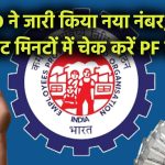 EPFO Balance Check: बिना इंटरनेट या ऐप के मिनटों में चेक करें PF बैलेंस, EPFO ने जारी किया नया नंबर, करोड़ों लोगों को मिली राहत